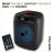 NDR-1742 Wireless Speaker