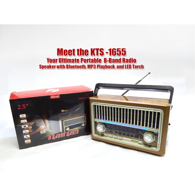 Portable Wireless Radio with Torch